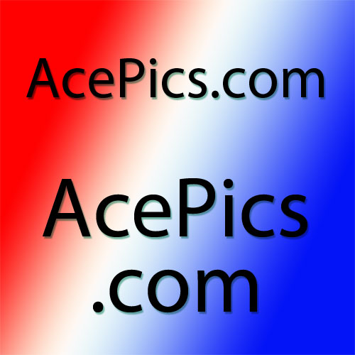 Premium Domain Name= AcePics.com